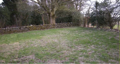 Græsplæne som trænger til pleje