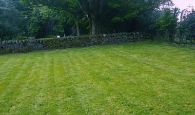 Velplejet græsplæne